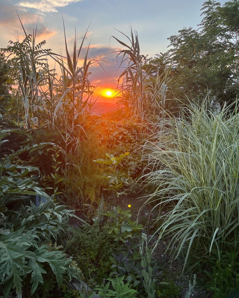 Giardino castello morsasco tramonto